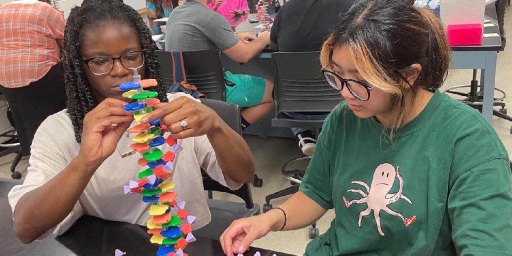 Students build DNA modules in Biology Lab